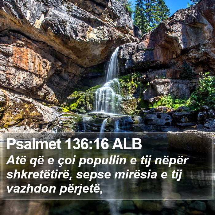 Psalmet 136:16 ALB Bible Study