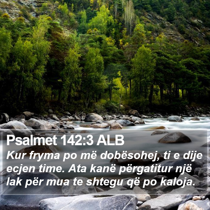 Psalmet 142:3 ALB Bible Study