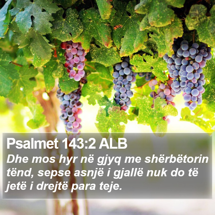 Psalmet 143:2 ALB Bible Study