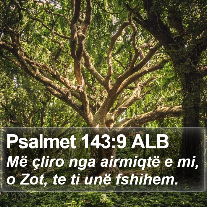 Psalmet 143:9 ALB Bible Study