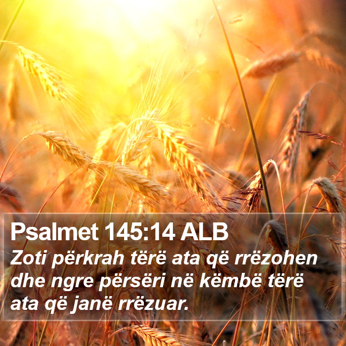 Psalmet 145:14 ALB Bible Study
