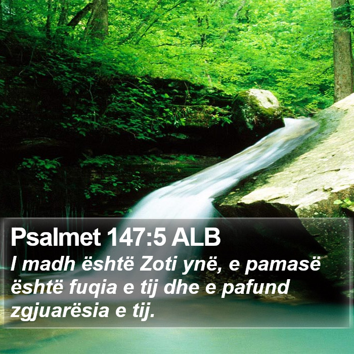 Psalmet 147:5 ALB Bible Study