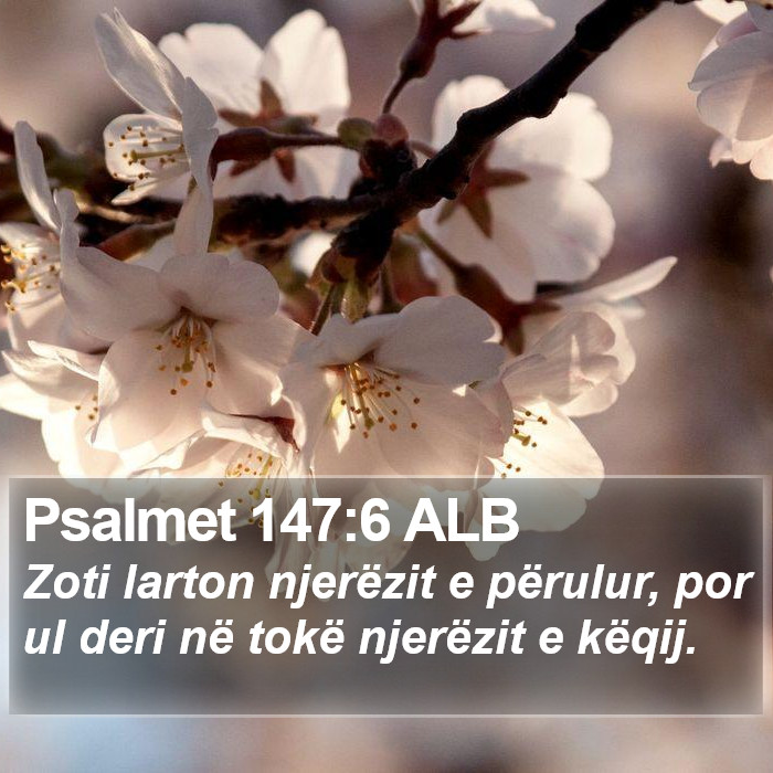 Psalmet 147:6 ALB Bible Study