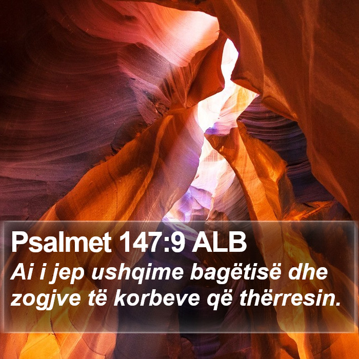 Psalmet 147:9 ALB Bible Study
