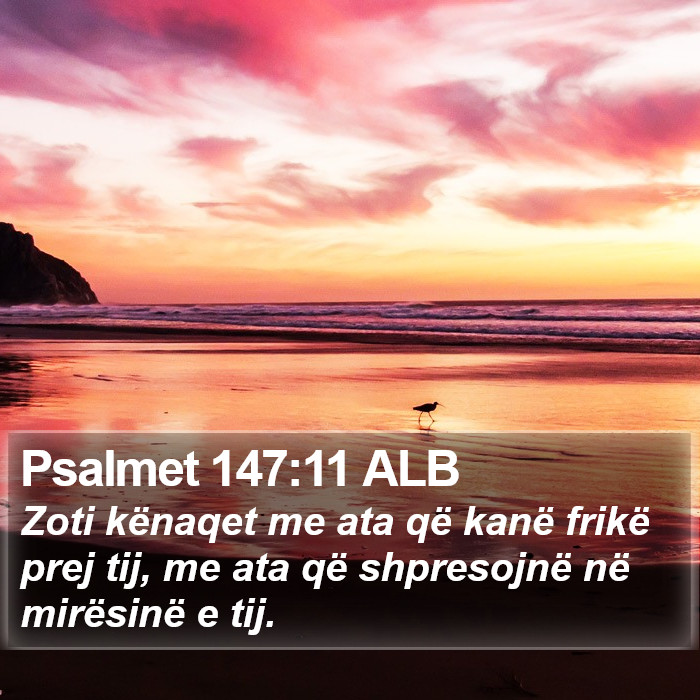 Psalmet 147:11 ALB Bible Study