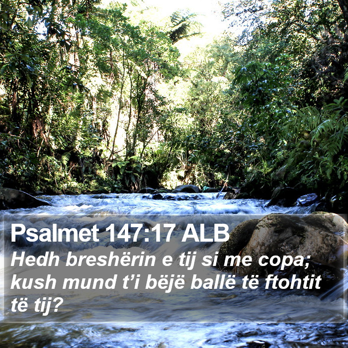 Psalmet 147:17 ALB Bible Study