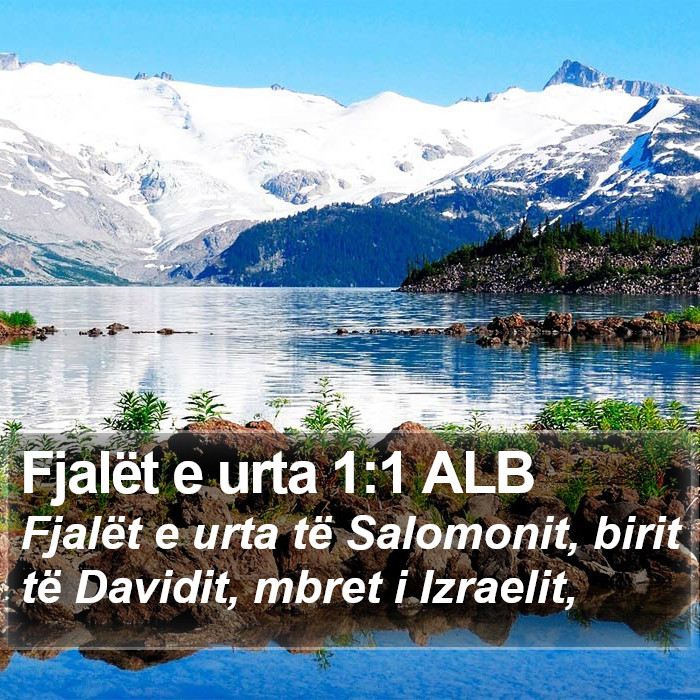 Fjalët e urta 1:1 ALB Bible Study