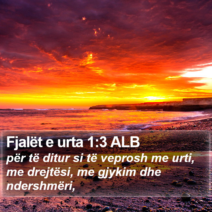 Fjalët e urta 1:3 ALB Bible Study