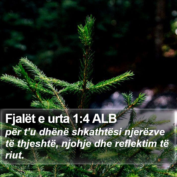 Fjalët e urta 1:4 ALB Bible Study