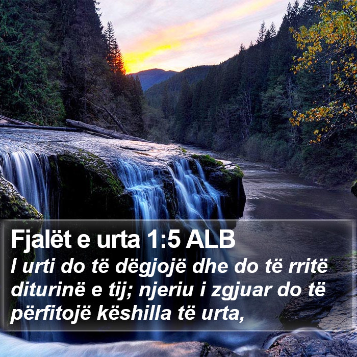 Fjalët e urta 1:5 ALB Bible Study