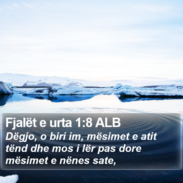 Fjalët e urta 1:8 ALB Bible Study