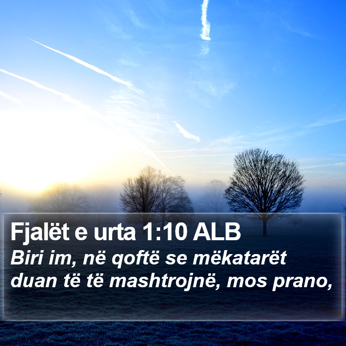 Fjalët e urta 1:10 ALB Bible Study