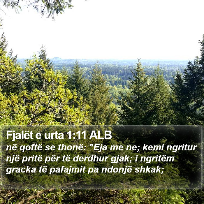 Fjalët e urta 1:11 ALB Bible Study