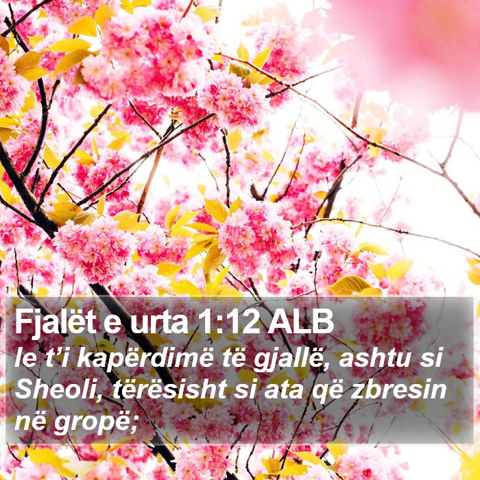 Fjalët e urta 1:12 ALB Bible Study