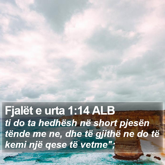 Fjalët e urta 1:14 ALB Bible Study