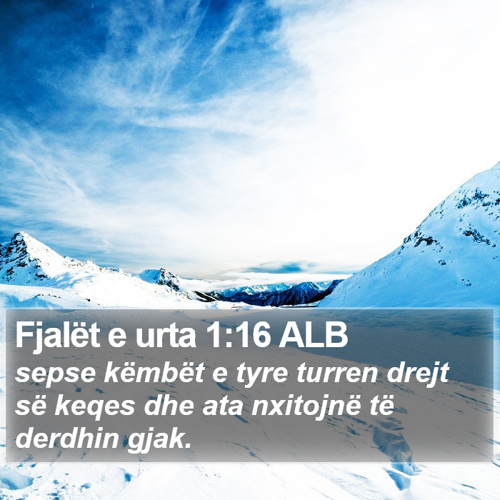 Fjalët e urta 1:16 ALB Bible Study