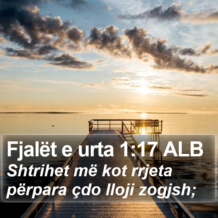 Fjalët e urta 1:17 ALB Bible Study