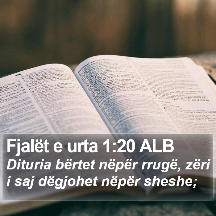 Fjalët e urta 1:20 ALB Bible Study