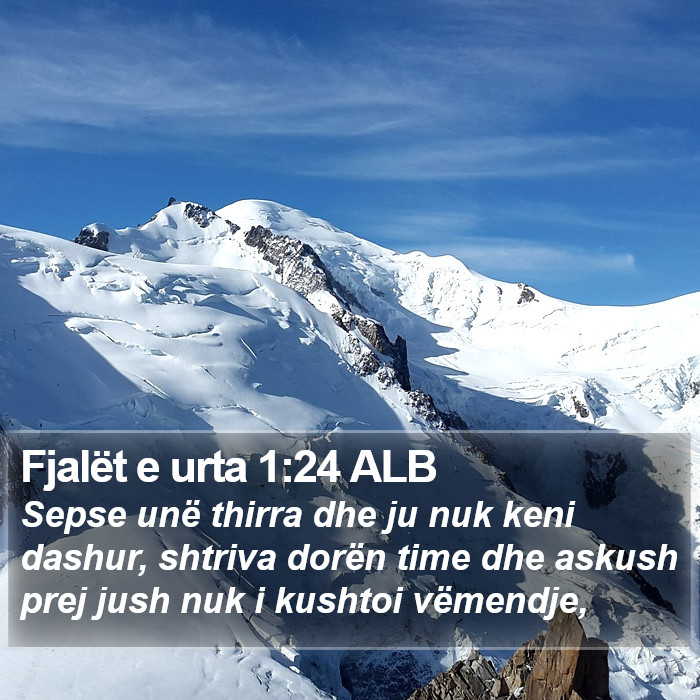 Fjalët e urta 1:24 ALB Bible Study