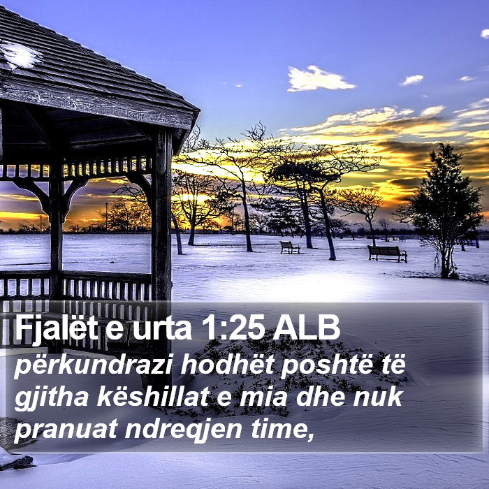 Fjalët e urta 1:25 ALB Bible Study