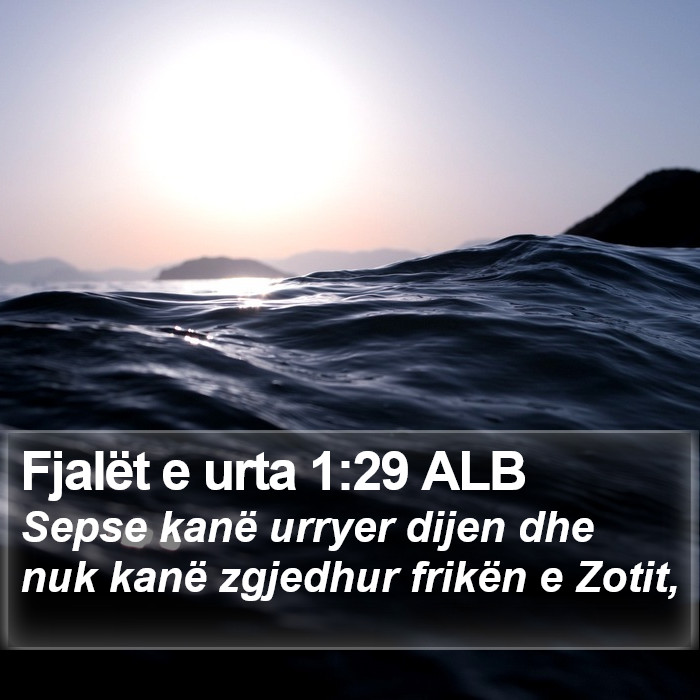 Fjalët e urta 1:29 ALB Bible Study