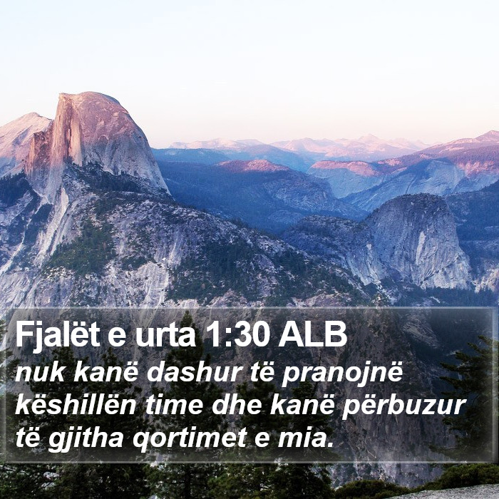 Fjalët e urta 1:30 ALB Bible Study