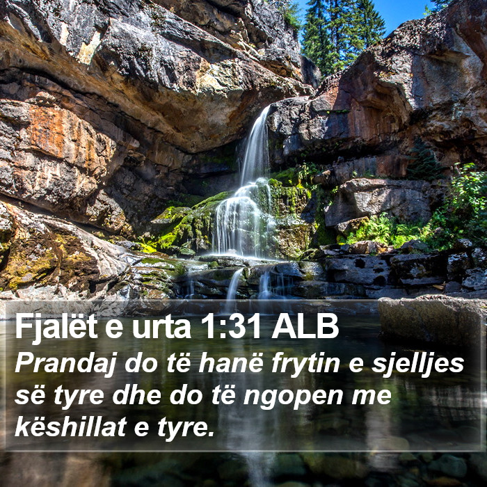 Fjalët e urta 1:31 ALB Bible Study