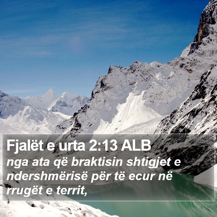 Fjalët e urta 2:13 ALB Bible Study