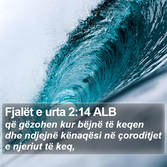 Fjalët e urta 2:14 ALB Bible Study