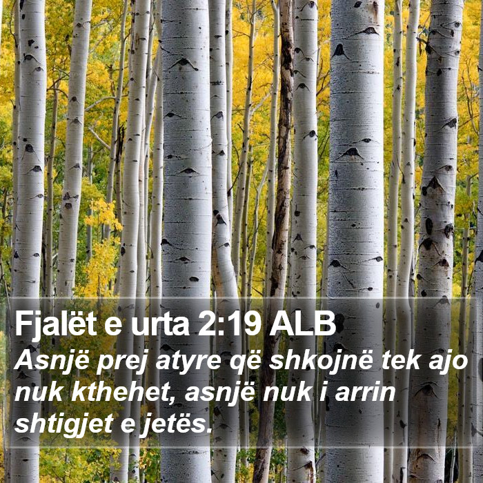 Fjalët e urta 2:19 ALB Bible Study