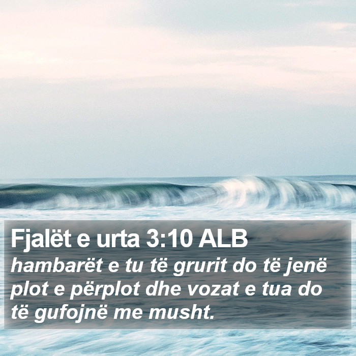 Fjalët e urta 3:10 ALB Bible Study