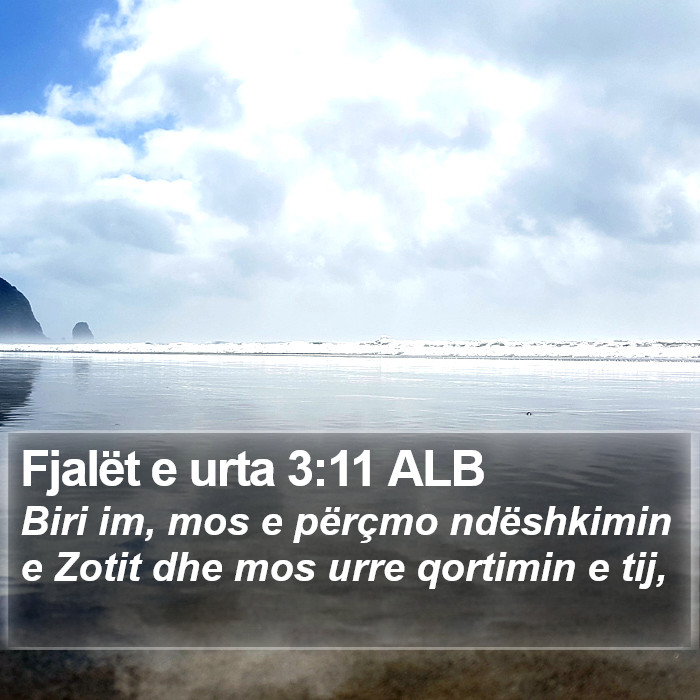 Fjalët e urta 3:11 ALB Bible Study