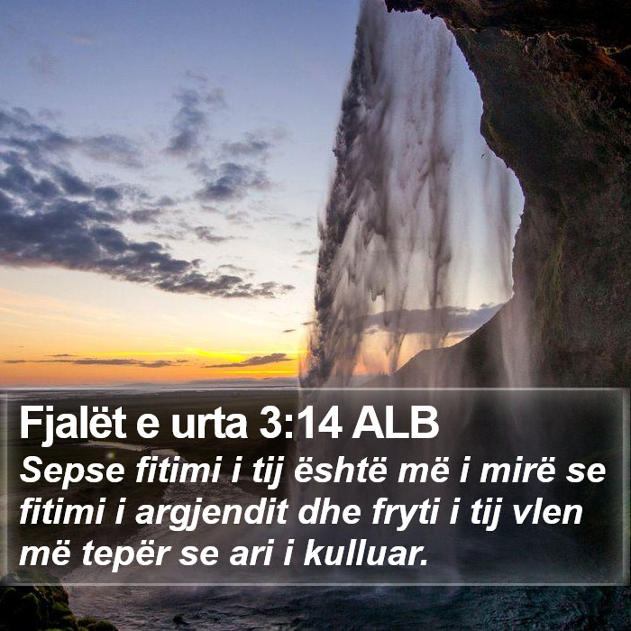 Fjalët e urta 3:14 ALB Bible Study