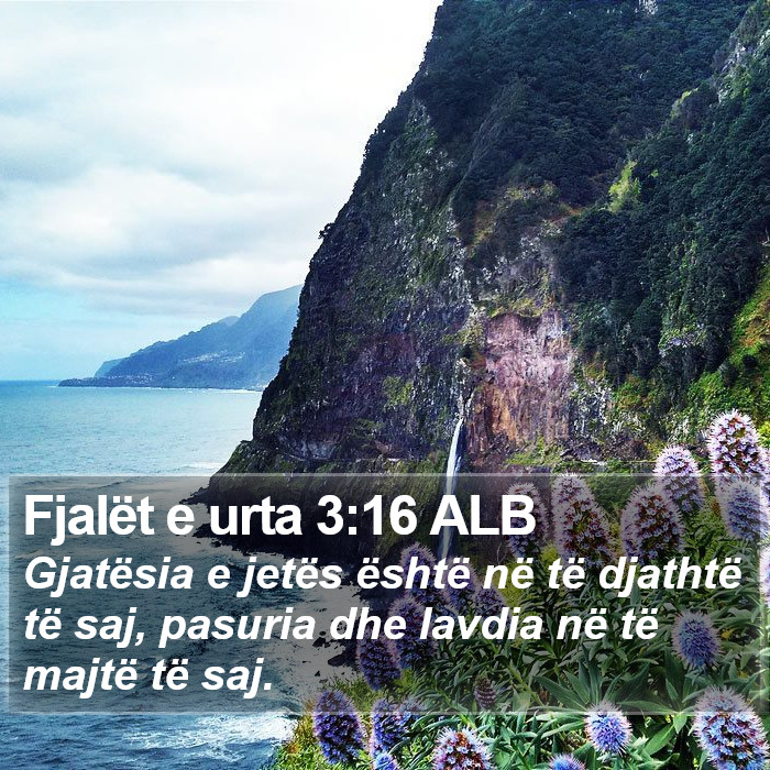 Fjalët e urta 3:16 ALB Bible Study