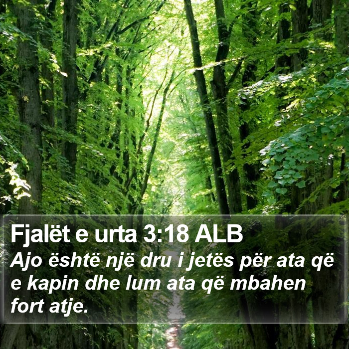 Fjalët e urta 3:18 ALB Bible Study