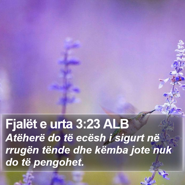 Fjalët e urta 3:23 ALB Bible Study