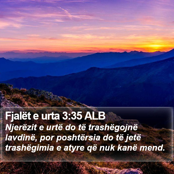 Fjalët e urta 3:35 ALB Bible Study