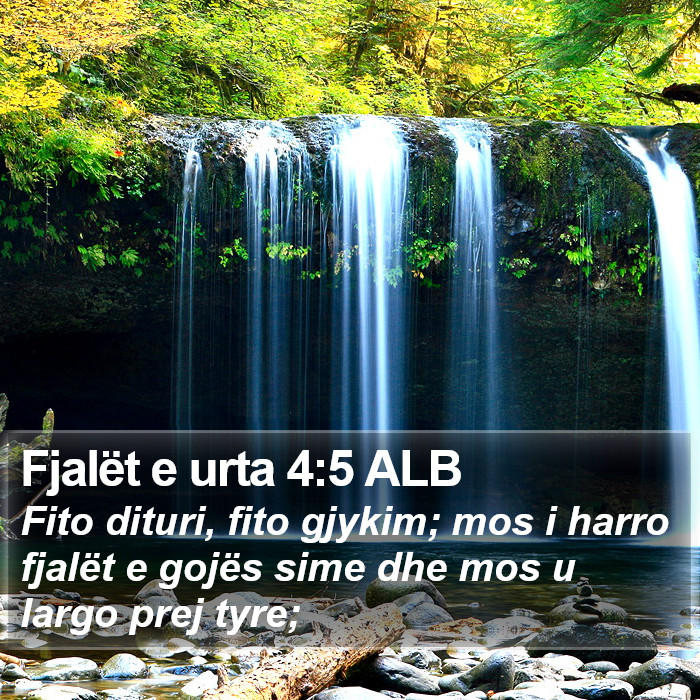 Fjalët e urta 4:5 ALB Bible Study