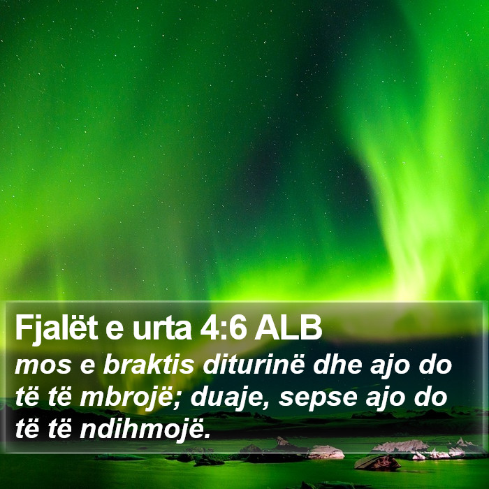 Fjalët e urta 4:6 ALB Bible Study