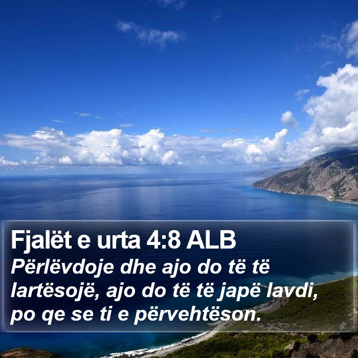 Fjalët e urta 4:8 ALB Bible Study
