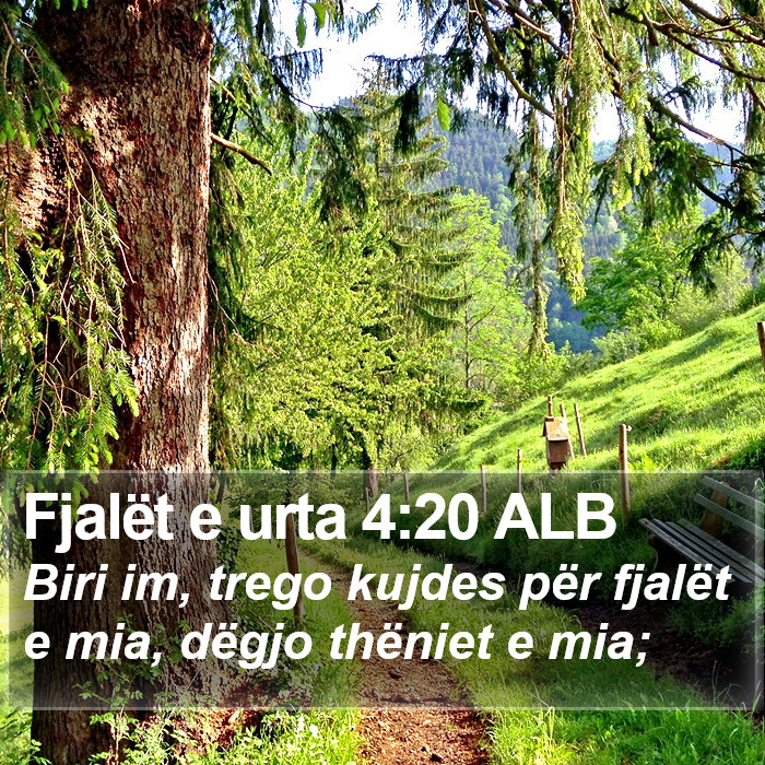 Fjalët e urta 4:20 ALB Bible Study