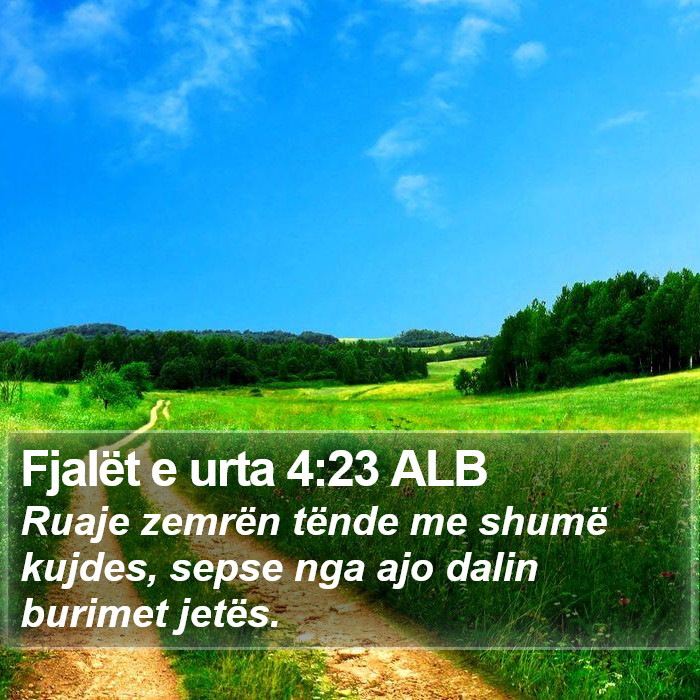 Fjalët e urta 4:23 ALB Bible Study