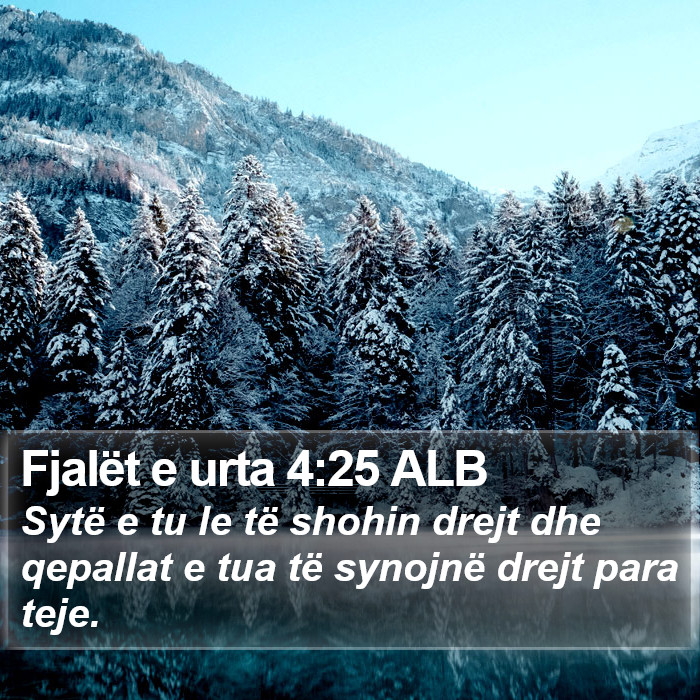 Fjalët e urta 4:25 ALB Bible Study
