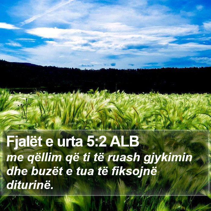 Fjalët e urta 5:2 ALB Bible Study