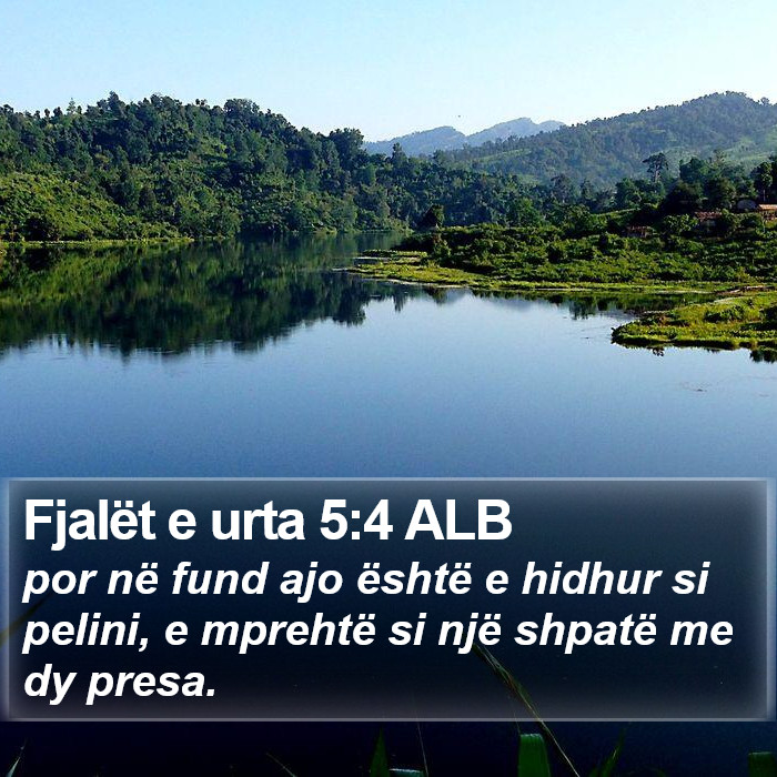 Fjalët e urta 5:4 ALB Bible Study