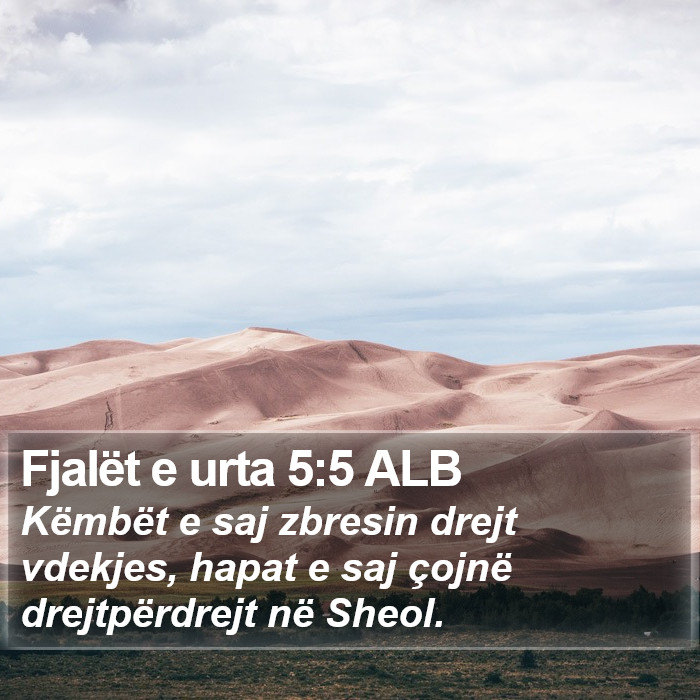 Fjalët e urta 5:5 ALB Bible Study