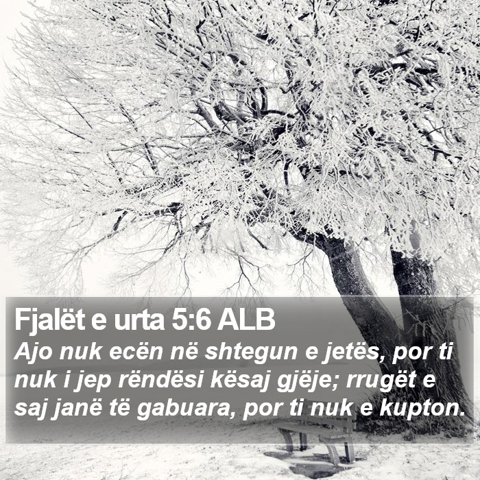 Fjalët e urta 5:6 ALB Bible Study