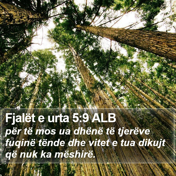 Fjalët e urta 5:9 ALB Bible Study