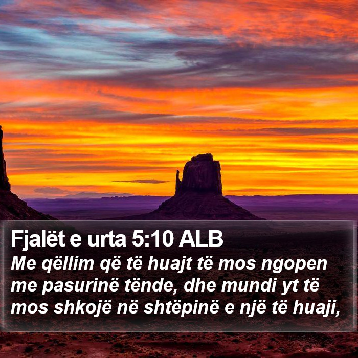 Fjalët e urta 5:10 ALB Bible Study