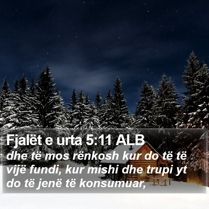 Fjalët e urta 5:11 ALB Bible Study